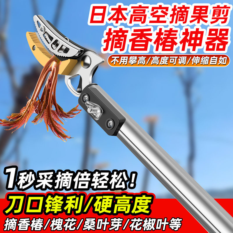 日本高空摘果剪香椿槐花摘果神器枇杷荔枝修枝高空剪-广东两日达