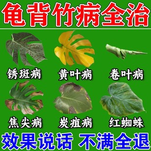 龟背竹叶子发黄专用营养液锈斑炭疽病专用药治黄叶卷叶烂根杀菌剂