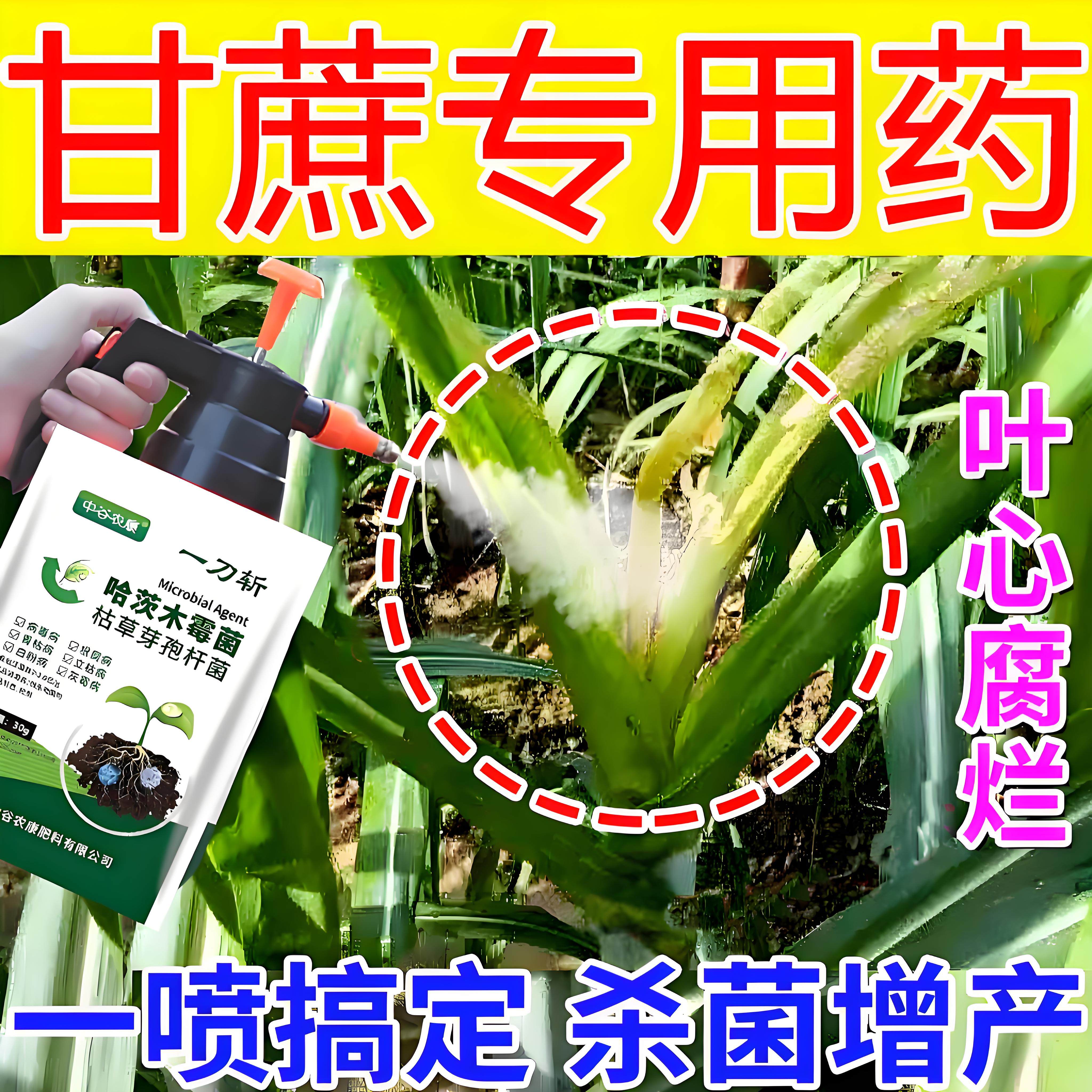 甘蔗专用药钻心虫梢腐病红壳病锈病黄叶病拉长增甜剂膨大素杀菌剂