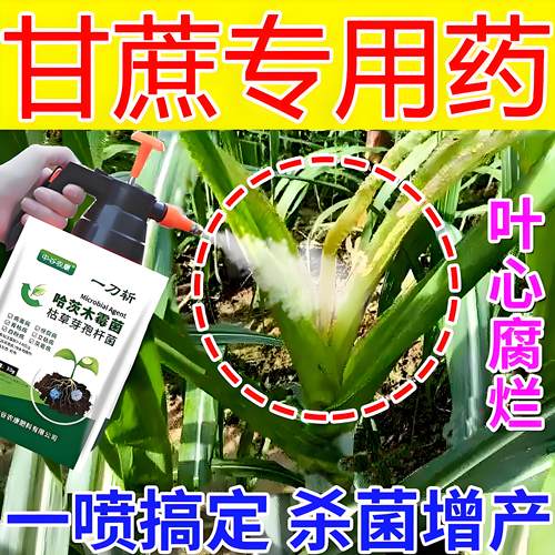 甘蔗专用药钻心虫梢腐病红壳病锈病黄叶病拉长增甜剂膨大素杀菌剂
