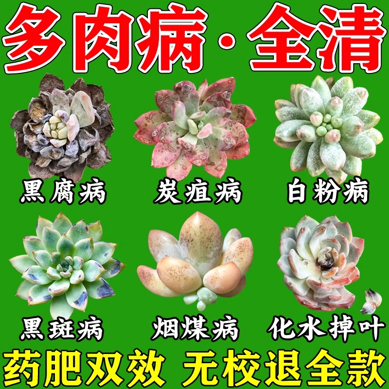 多肉专用肥黑斑病专用杀菌药白粉病烟煤黑腐病营养液优芽素杀虫剂