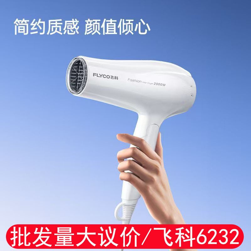 飞.科吹风机家用大功率2000W护发可折叠发廊家用电吹风筒FH6232