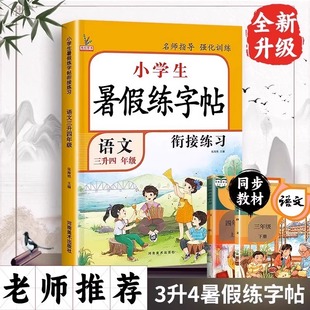 下每日一练三年级升四年级衔接教材练字3升4写字帖 三年级下册暑假练字帖三升四暑假衔接作业小学语文同步字帖人教版 鸿HG