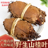 广西山楂叶中药材500g新货天然野生山楂叶茶泡茶泡水喝养生茶