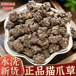 野生猫爪草500g克中药材正品水洗猫爪草中药新鲜另有夏枯草球郁金