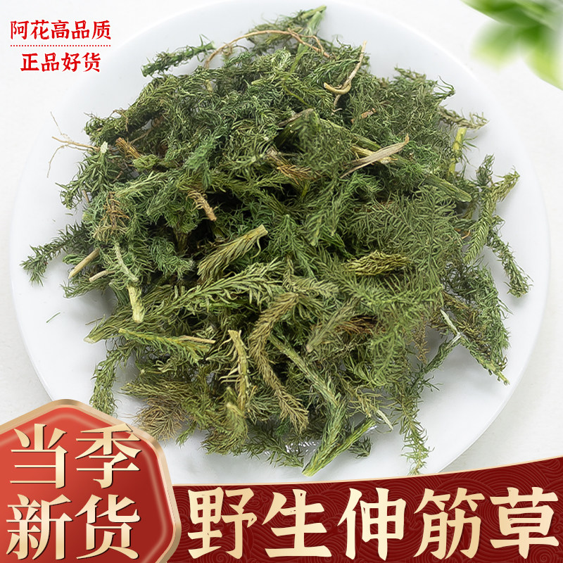 伸筋草中药材500g克正品野生马尾生筋骨草石松泡脚另有益智仁远志