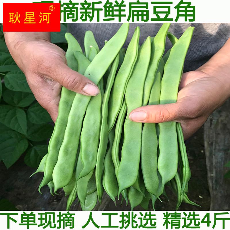 扁豆角新鲜扁芸豆豆角四季豆刀豆新鲜蔬菜湖北农家种植现摘包邮