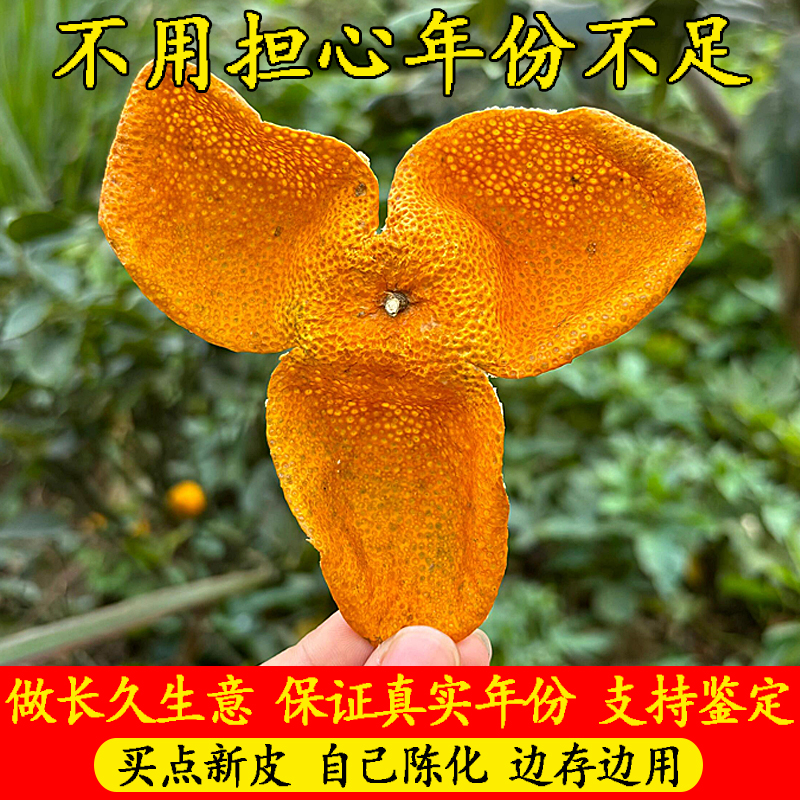 广东江门特产新会茶枝柑鲜果3年五年陈皮2024年新皮官方旗舰店