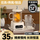 迷你恒温养生壶全玻璃小型办公室mini多功能家用花茶煮茶器电热杯