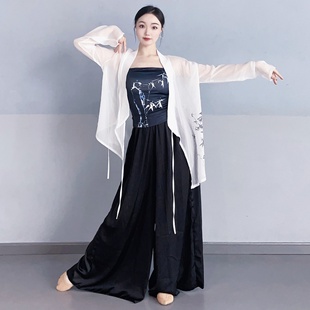 剑舞扇子舞古典舞演出服飘逸中国风练功服现代舞套装表演服装