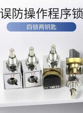 四锁两钥匙误防程序锁高压环网柜固体柜206JS/205JS/203JS/202JS