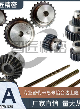 齿轮VNF01/02/03/11/21/22/31/41/42/43/51-1.0-20/21/22/23/24