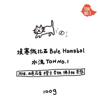 【河汉咖啡】埃塞TOH水洗冠军 Bule Hamabal 浅烘手冲豆 100g