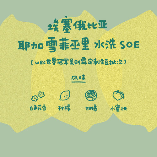 河汉巫里SOE中浅烘意式咖啡豆