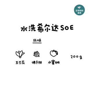 【豆导特别推荐】河汉咖啡埃塞水洗希尔达SOE中浅烘意式咖啡豆