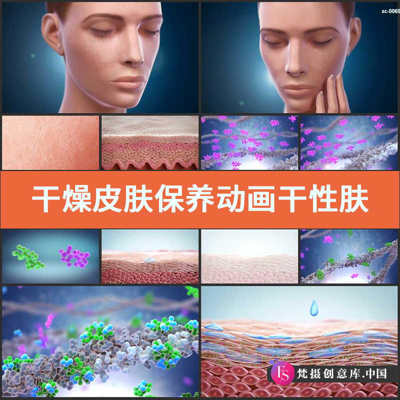 干燥皮肤保养动画视频素材干性肤质缺水保湿补水因子皮肤组织结构