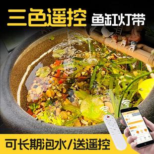 三色遥控鱼缸专用灯带防水24v古法养鱼池水下氛围自粘暖光led灯条