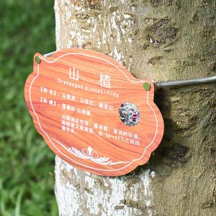 树牌弹簧不锈钢304不生锈弹簧绑树牌挂链挂绳拉伸不伤树树牌拉簧