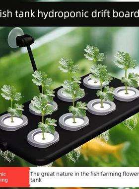 鱼缸水培种植篮壁挂式吸盘绿色植物浮板美化净化水质水生植物浮固