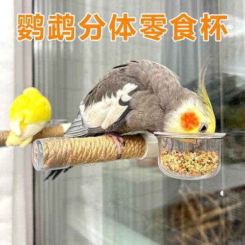 乐鸟匠鹦鹉吸盘玻璃磁磁砖站杠零食杯套装鸟用品分体式亚克力透明