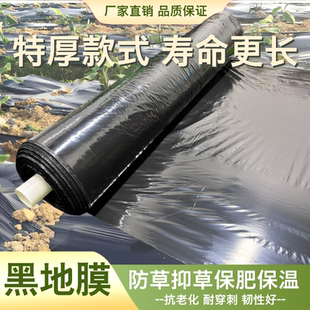 特厚黑农用种植地膜果园黑地膜除草地膜4丝韭黄专用加厚塑料薄膜