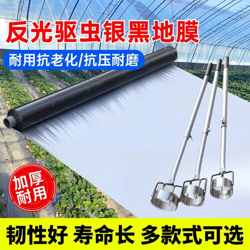 银黑双色地膜除草除虫地膜反光增色保温果园大棚用塑料薄膜打孔器