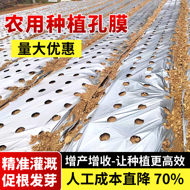 打孔地膜农用种植带孔有孔银黑色地膜防草种菜辣椒小葱药材专用膜