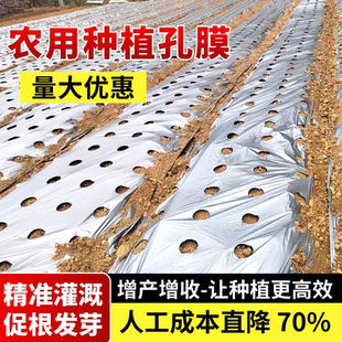 打孔地膜农用种植带孔有孔银黑色地膜防草种菜辣椒小葱药材专用膜