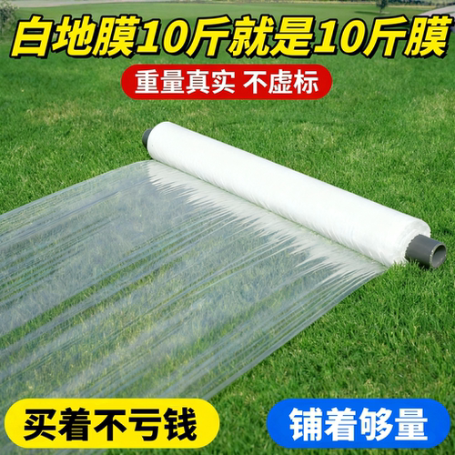 【强农品牌】净重地膜TOP