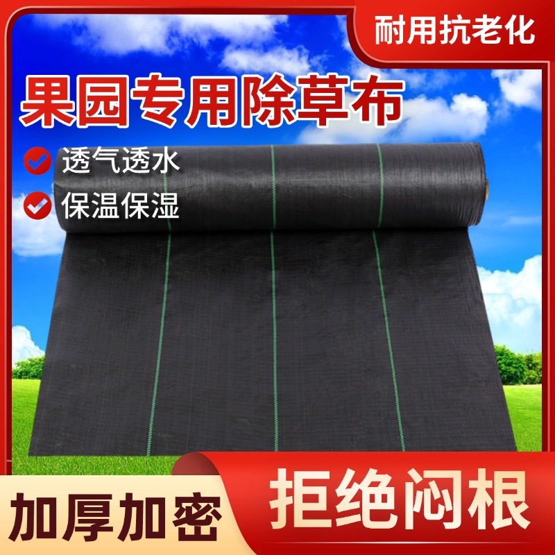 防草布果园专用70克加厚抗