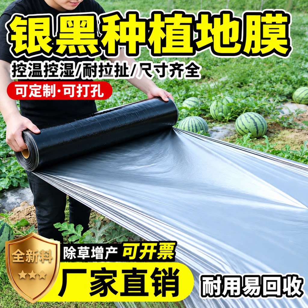 银黑双色地膜打孔带孔农业种植膜图片