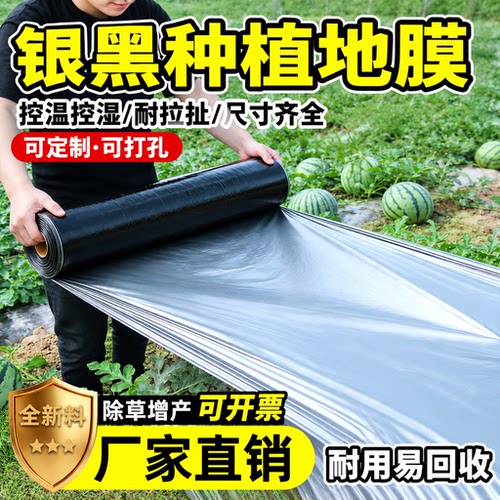 银黑双色地膜打孔带孔农业种植膜