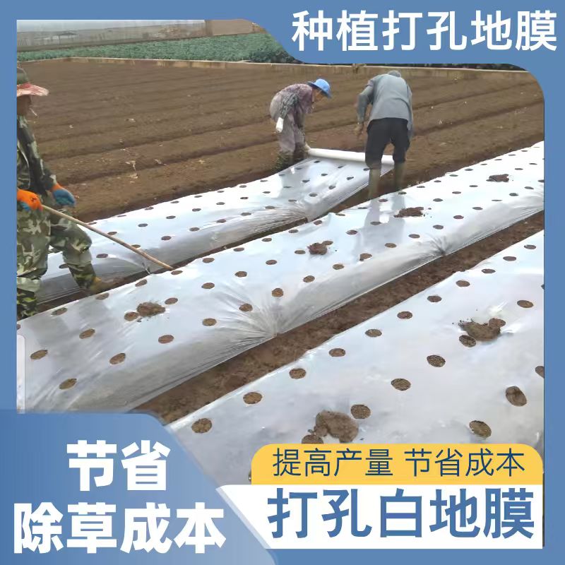 打孔白地膜农用种植种菜专用全新料保温保湿白色透明膜种菜花生