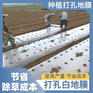 打孔白地膜农用种植种菜专用全新料保温保湿白色透明膜种菜花生