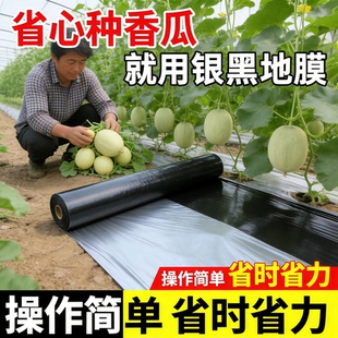 香瓜专用银黑双色农用种菜种植地膜加厚保温反光除草农业塑料薄膜