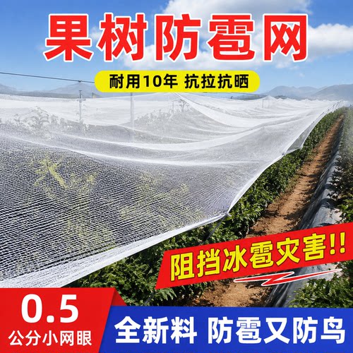 防雹网果园防鸟网葡萄网农用防护网果树防冰雹网神器果园防冰雹网