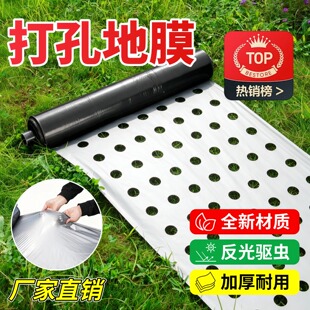 打孔银黑地膜农用种植种菜专用塑料薄膜防草虫双色反光带孔免打孔