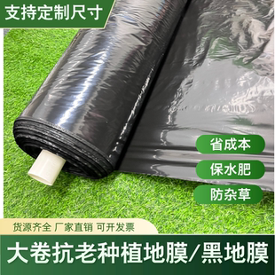 特厚黑农用种植地膜果园黑地膜除草地膜4丝韭黄专用加厚塑料薄膜