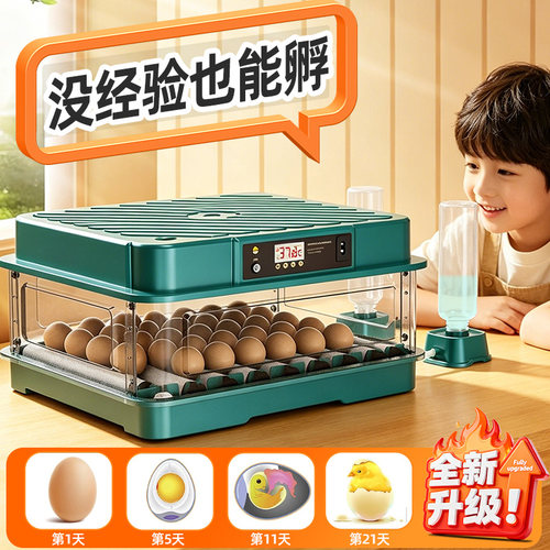 孵化器小型家用智能孵蛋机全自动