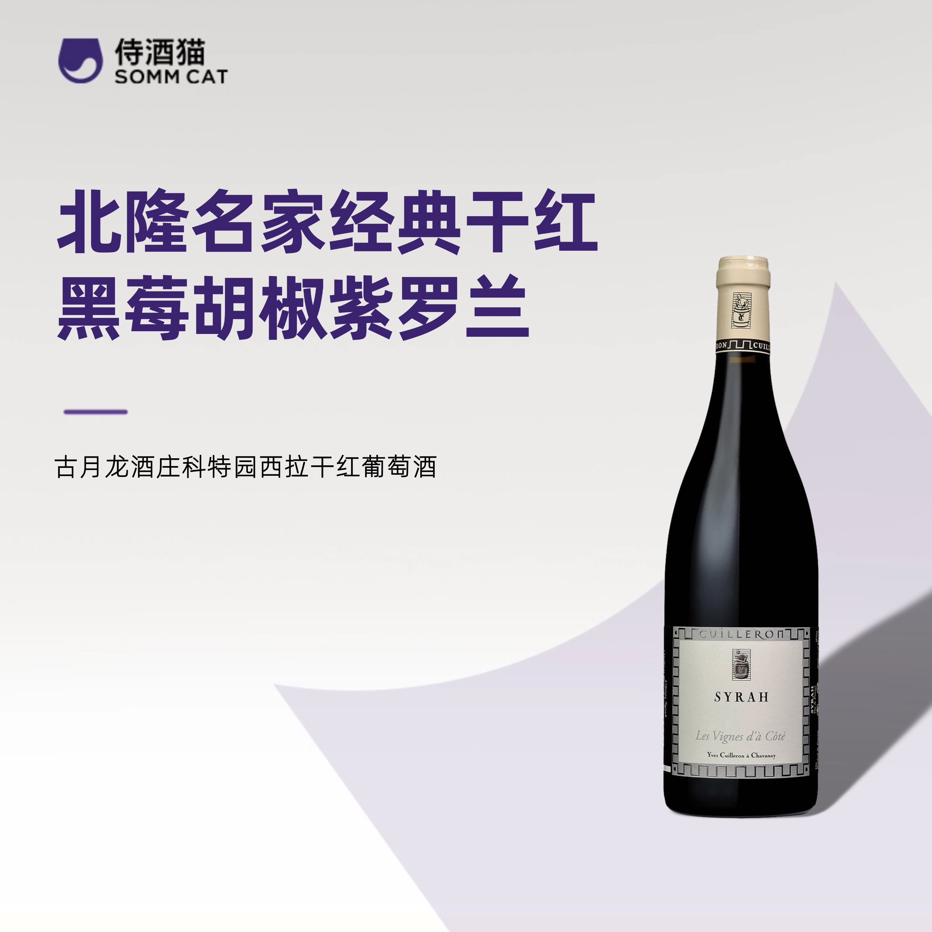 法国北罗纳河谷大名庄！古月龙酒庄科特园西拉干红葡萄酒