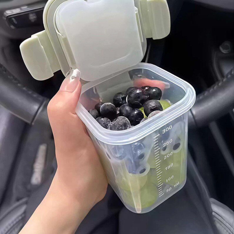 【自带冰盒】保鲜盒水果便当盒辅食密封盒食品级上班带饭轻便饭盒