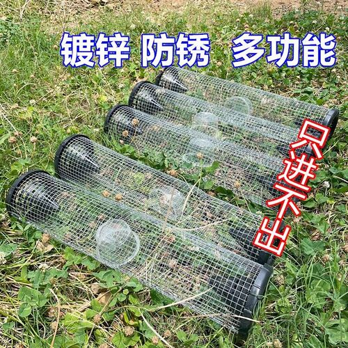 猫爬架猫窝猫树一体太空舱通天柱家用剑麻猫爬架子不占地小型猫架