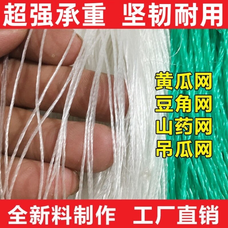 瓜豆黄瓜豆角苦瓜碗豆荷兰豆四季豆吊瓜植物爬藤网种植网攀爬农用