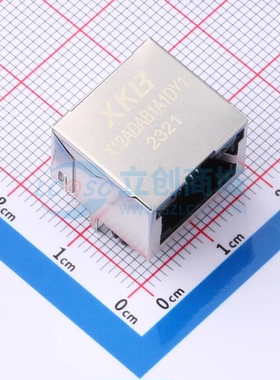 以太网连接器(RJ45 RJ11) X12ADAB1A1DY1 - 原装正品