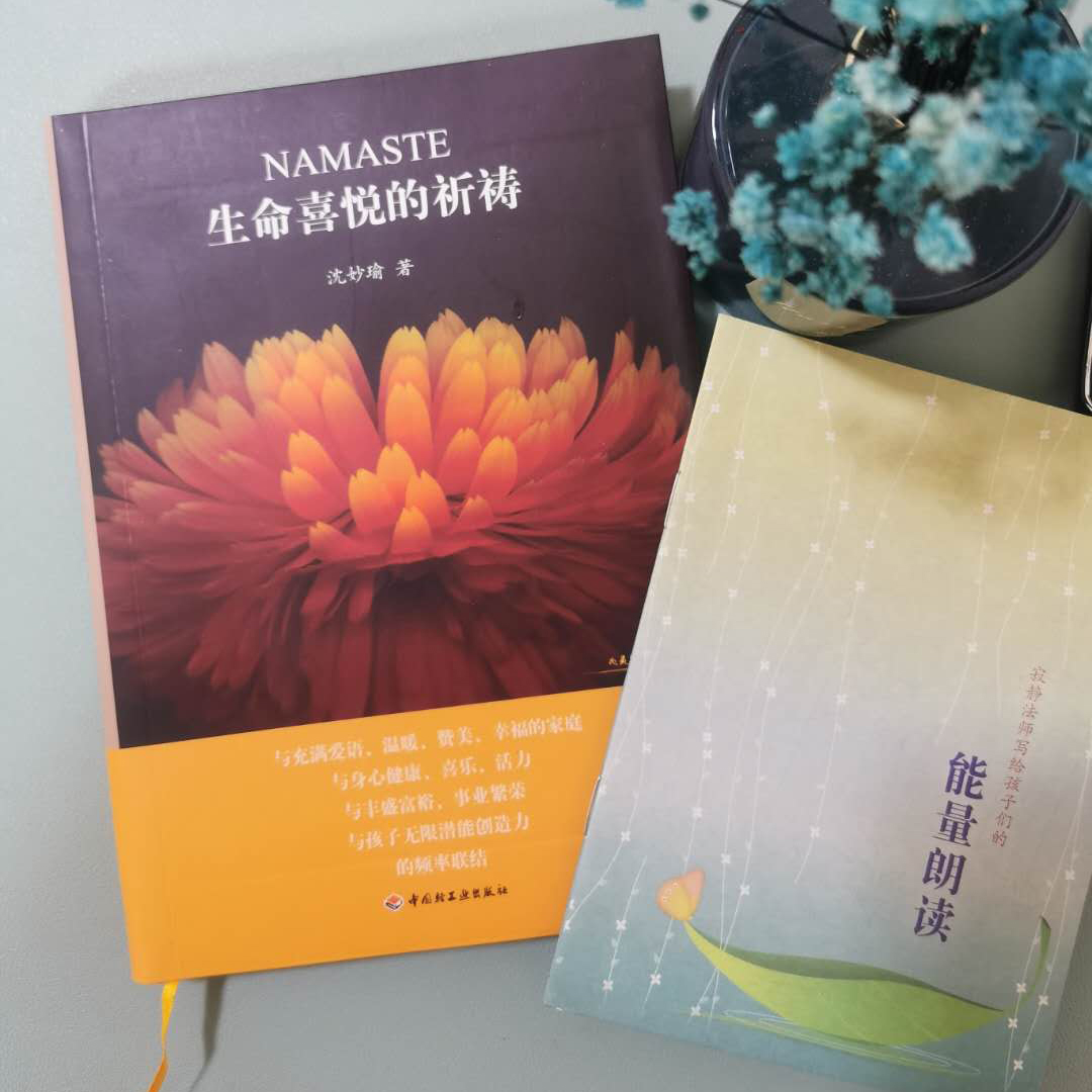 精装正版包邮namaste生命喜悦