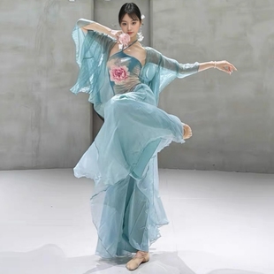 新国风舞古典舞仙气纱衣飘逸大摆裙裤 艺考练功舞台演出表演服套装