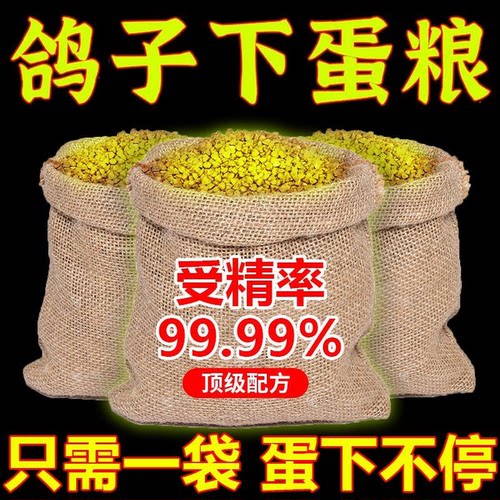 【鸽子受精快】公不踩背母
