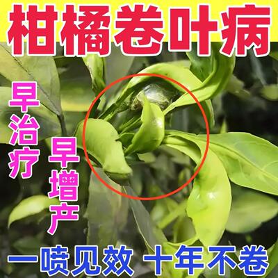 柑橘卷叶病修复剂黄叶掉果通用