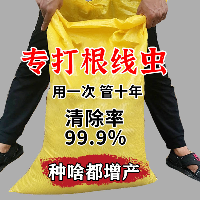 农用根结线虫专药淡紫孢菌