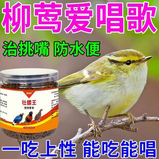 柳莺饲料柳莺专用鸟食高蛋白营养粮提性壮膘靓丽羽毛四季可用鸟粮